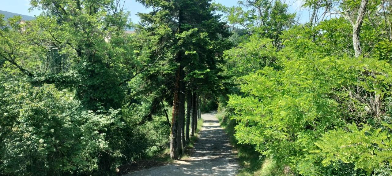 Villa La Bergerie D'Annie Privas Esterno foto